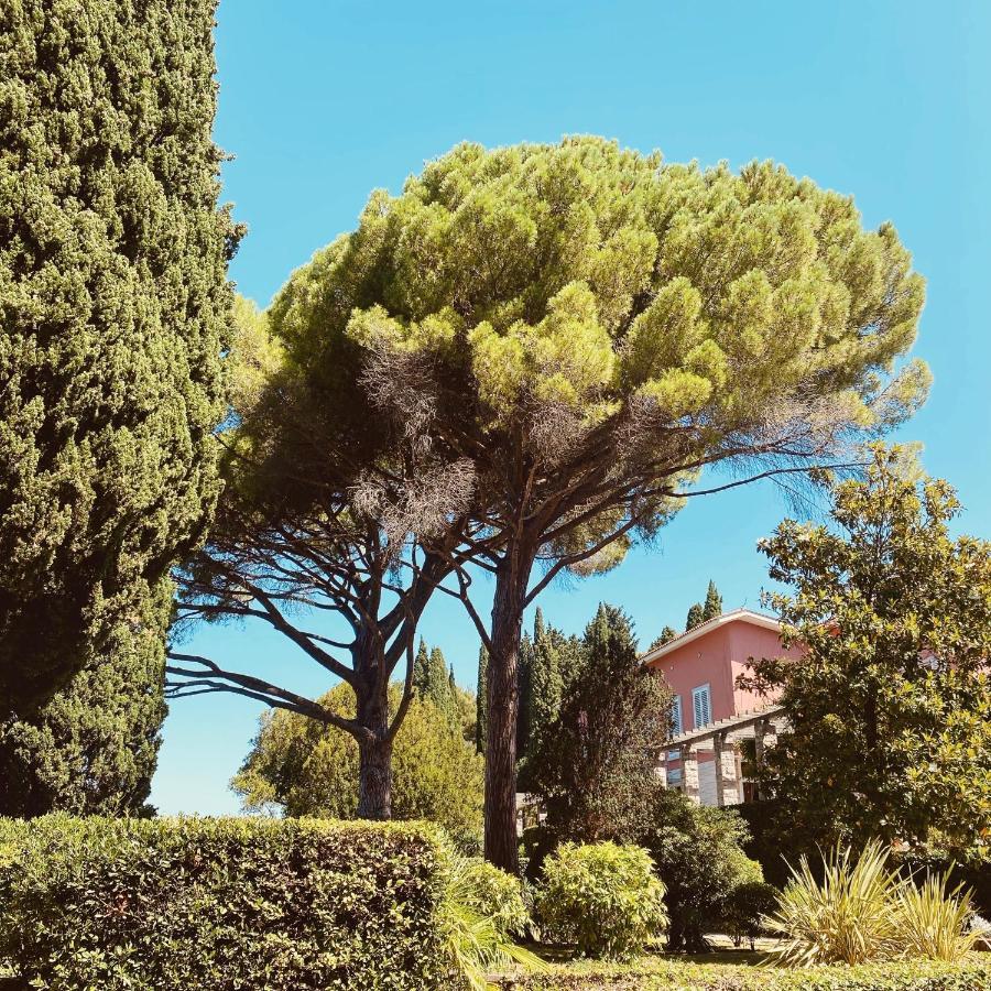 Vila Tartini Strunjan Extérieur photo